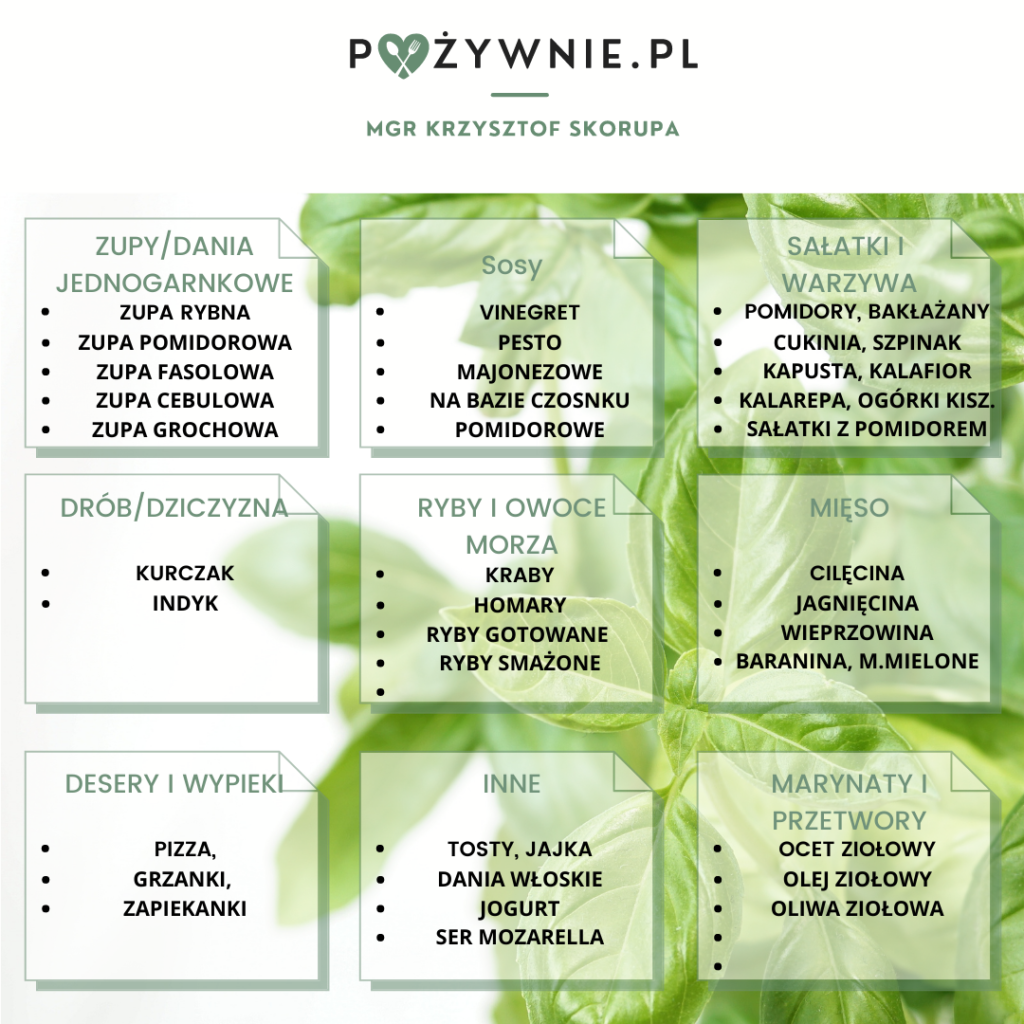 Gdzie używać bazylii